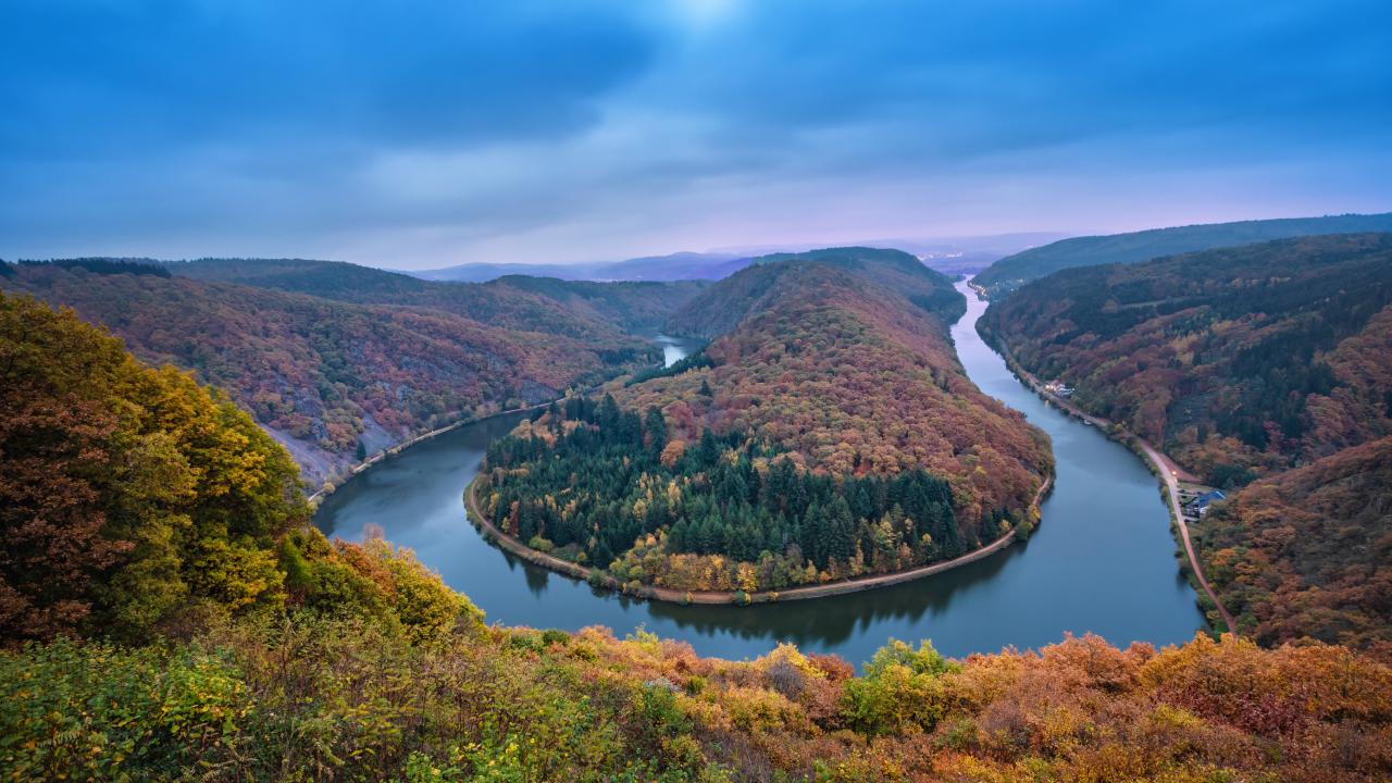 The Saarland Effect: How Rival Regions Are Reacting