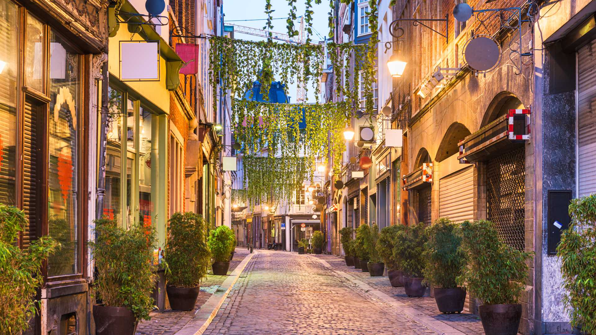 Cobblestone street in Brussels at dawn, adorned with hanging greenery and lit by warm streetlights.