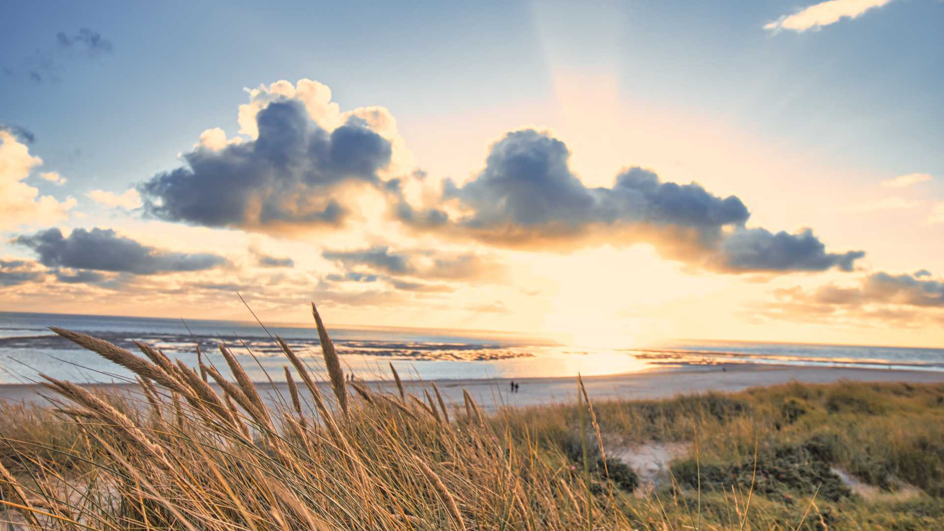 Sonnenuntergang über Blavand Beach, Dänemark, mit goldenem Dünengras und dramatischen Wolken am Ufer.