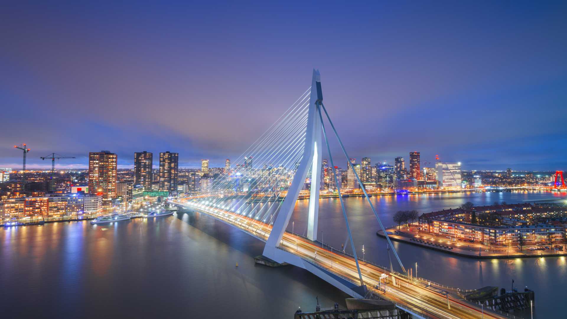 Rotterdam's skyline and Erasmus Bridge illuminated at twilight.