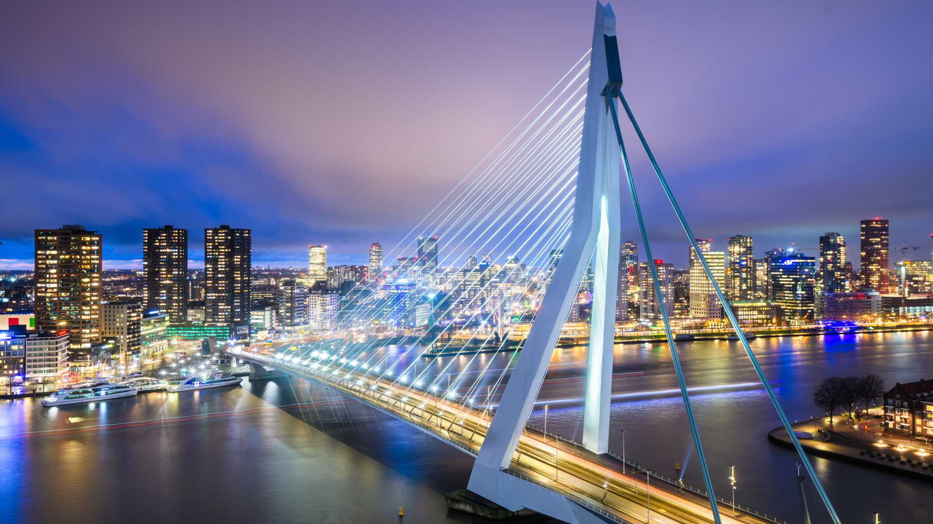 Erasmus Bridge illuminated at twilight, with Rotterdam's skyline reflecting on the Nieuwe Maas River.