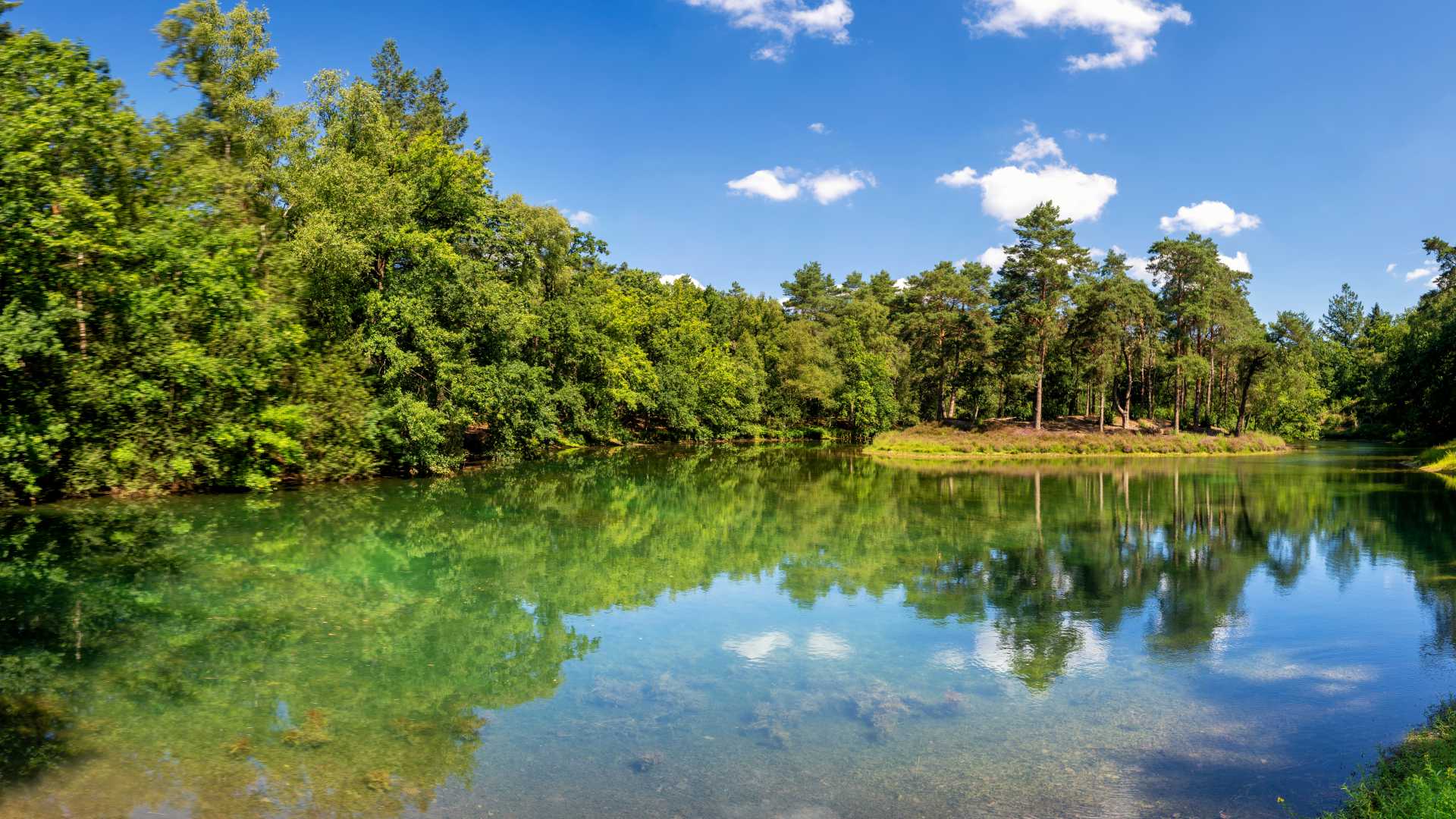 泽斯特附近海德斯泰因自然保护区的博斯维耶弗湖全景，湖水中倒映着树木、森林和蓝天。