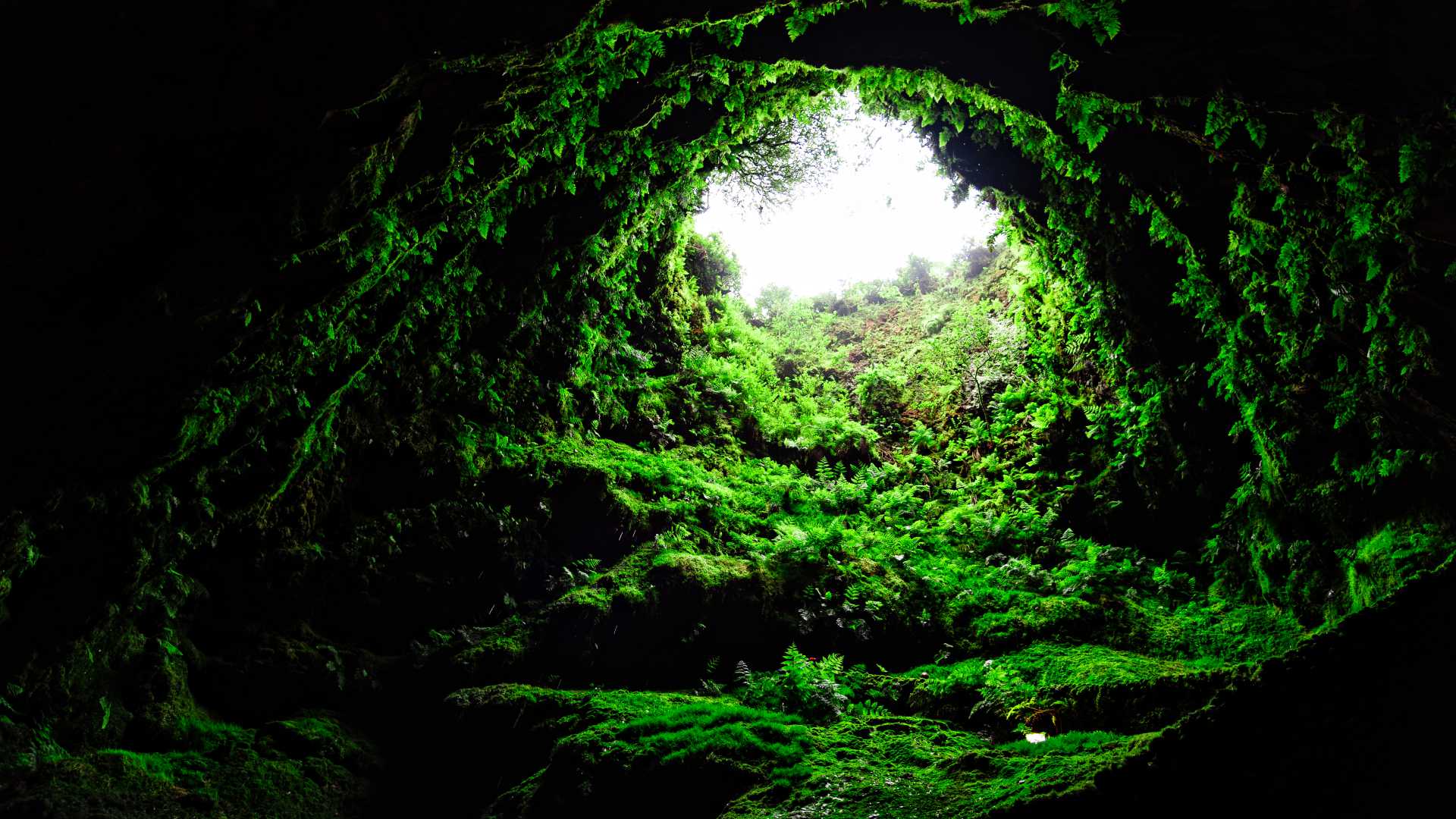 Lush greenery graces the entrance of the Algar do Carvão lava tube on Terceira Island, Azores.