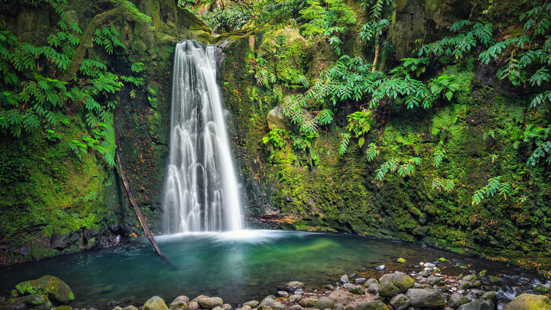 Lush vegetation frames the serene Salto do Prego waterfall on Sao Miguel Island in the Azores, Portugal.
