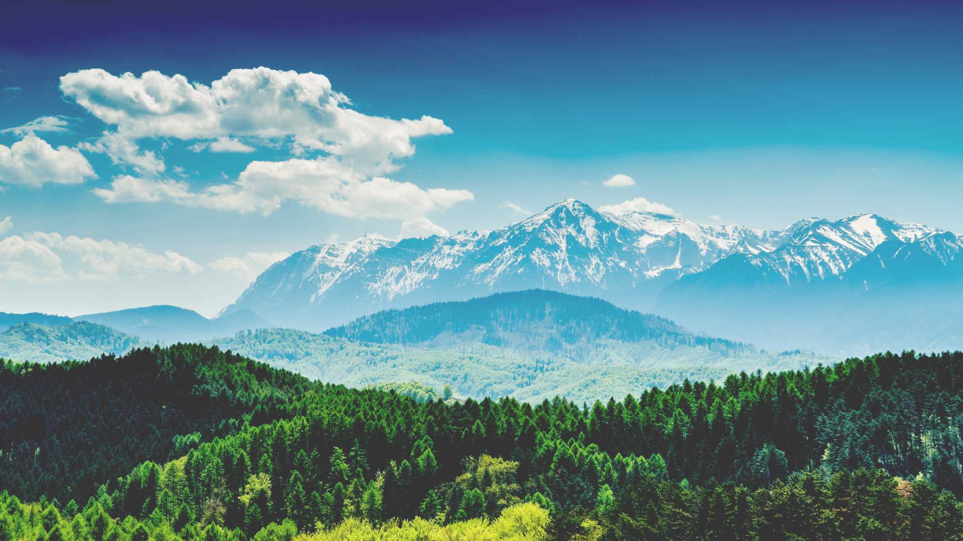 Die schneebedeckten Gipfel der Karpaten erheben sich über üppig grüne Wälder unter einem strahlend blauen Himmel in Rumänien.