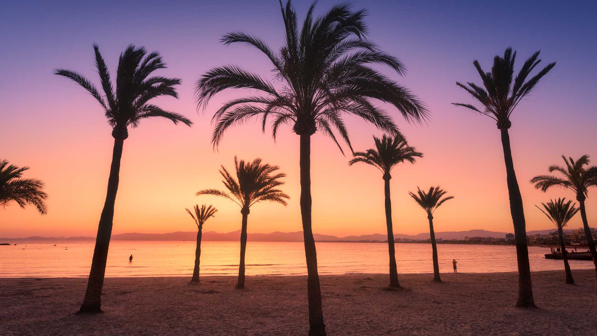 Silhouetted palm trees stand against a vibrant sunset sky on a beach in Mallorca, Spain.