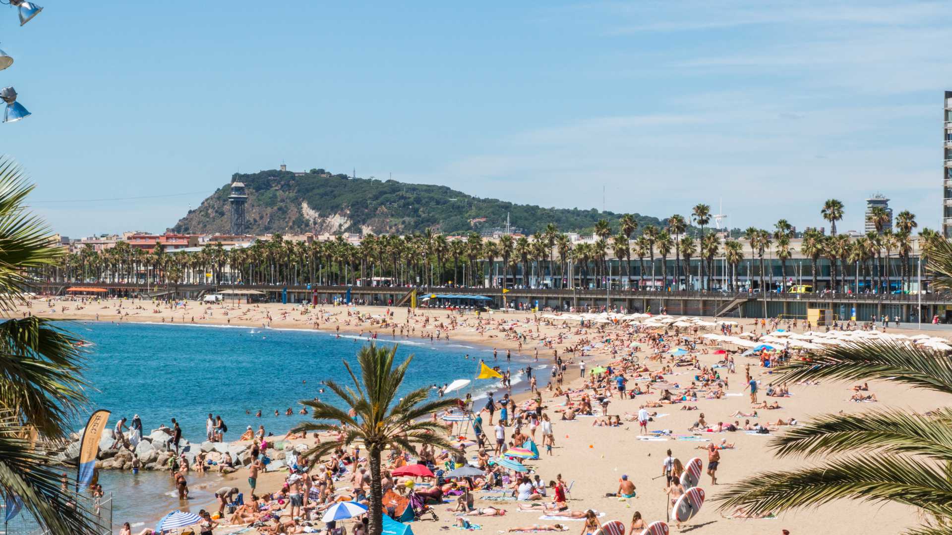 Plage bondée de Barceloneta à Barcelone, avec des baigneurs, des parasols et des palmiers sous un ciel bleu clair.