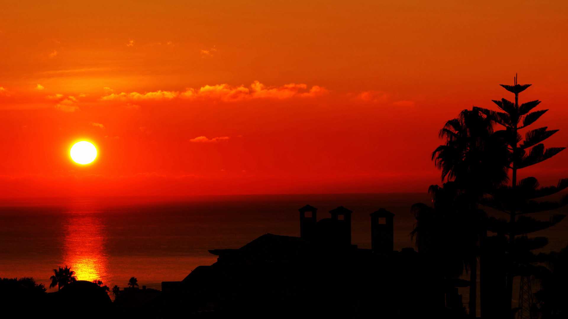 Coucher de soleil espagnol vibrant avec un ciel orange flamboyant, des silhouettes de palmiers et le soleil se reflétant sur la mer.